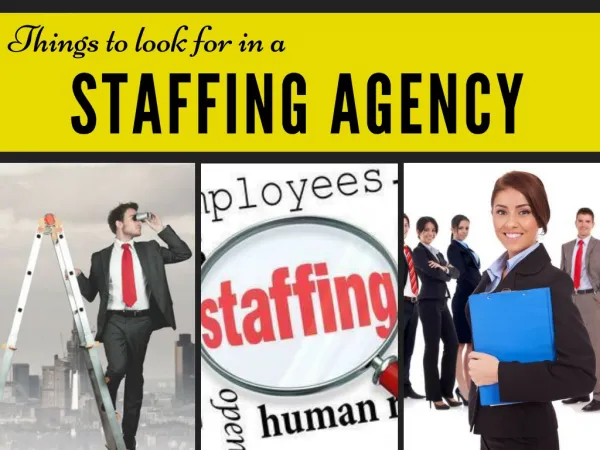 Things to Look for in a Staffing Agency
