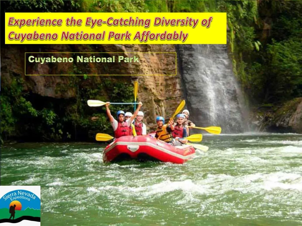 experience the eye catching diversity of cuyabeno