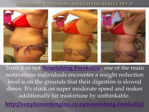 http://supplementengine.co.za/nourishing-forskolin/