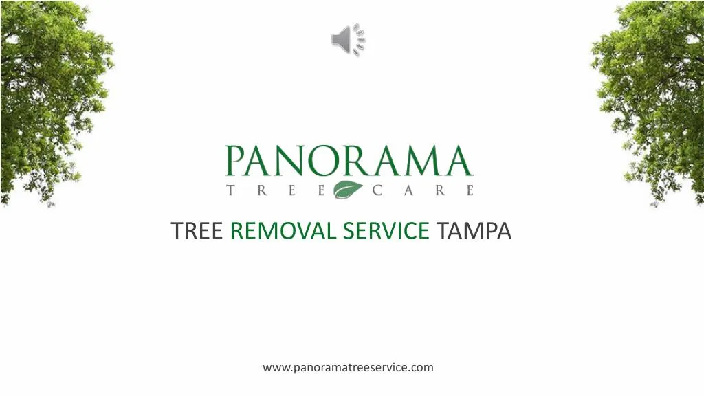 tree removal service tampa