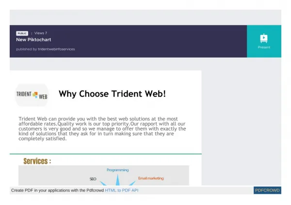 Trident Web Infoservices Infographis