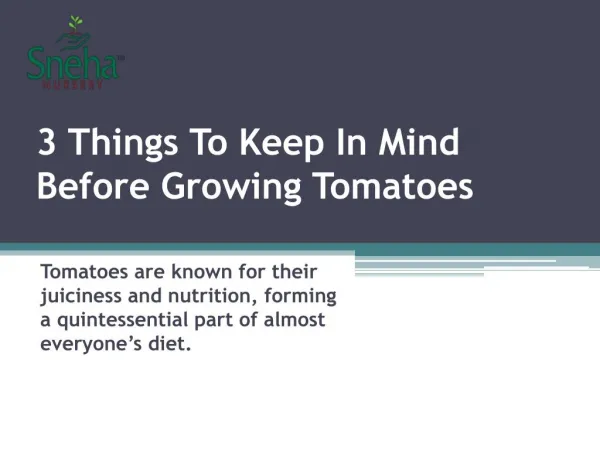 3 Things To Keep In Mind Before Growing Tomatoes