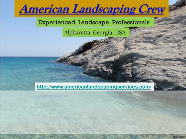 Exotic Landscaping Design Services