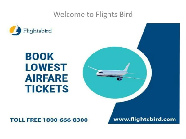 Book Cheap flights Ticket From New York and Get 40 % OFF