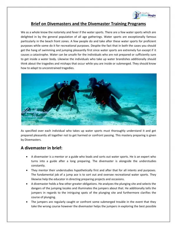 Brief on Divemasters and the Divemaster Training Programs