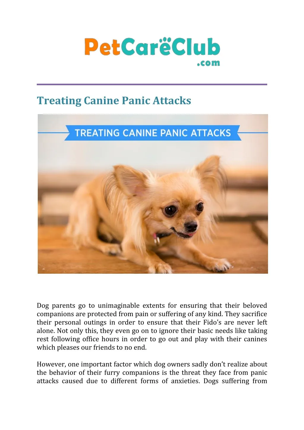 treating canine panic attacks