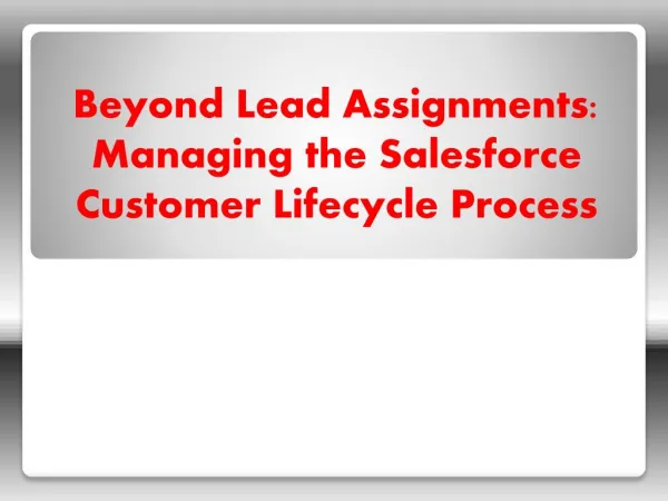 Beyond Lead Assignments: Managing the Salesforce Customer Lifecycle Process
