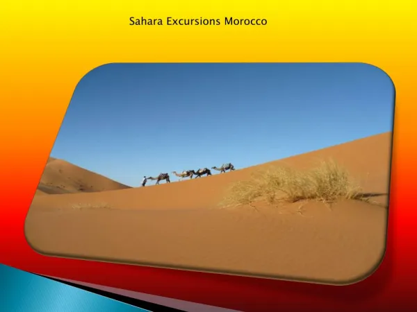 Sahara excursions morocco