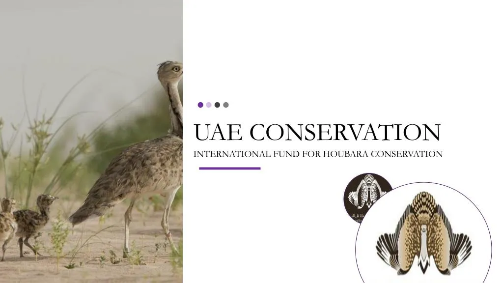 uae conservation