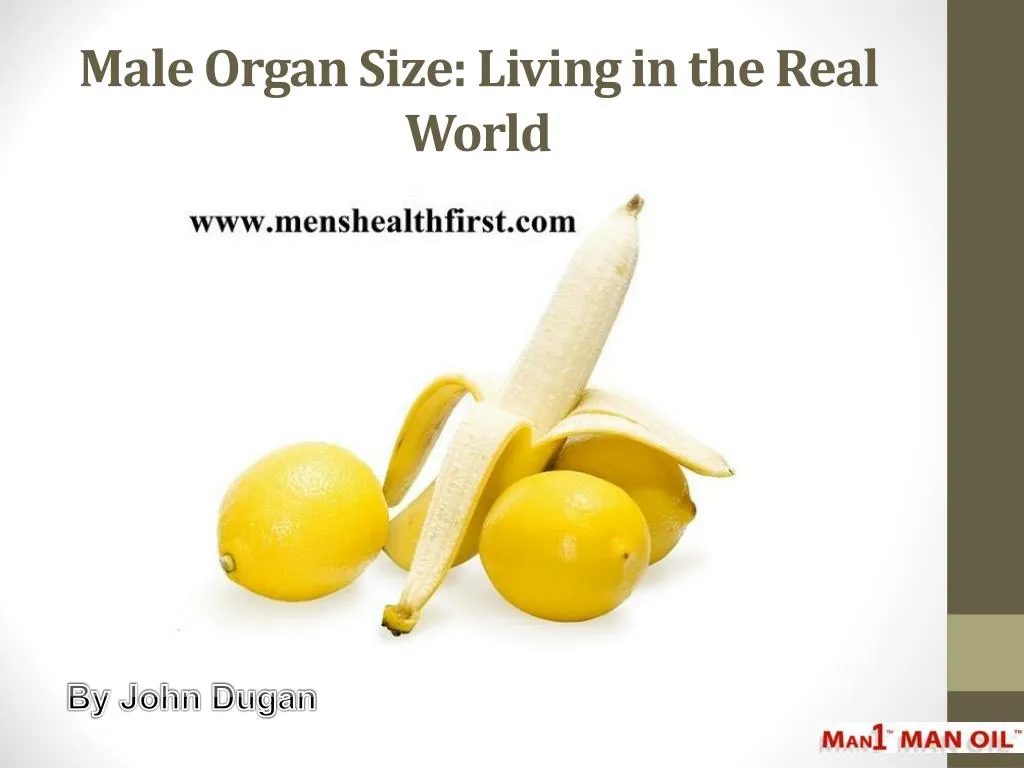male organ size living in the real world