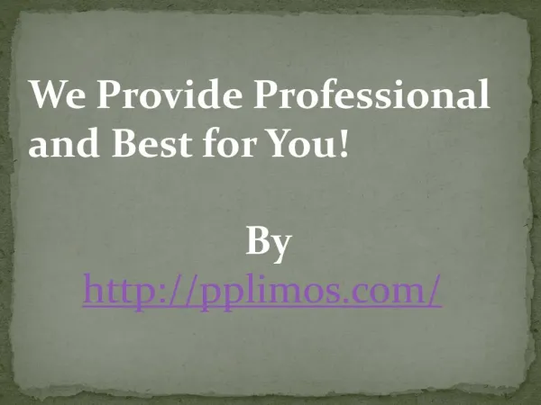 We Provide Professional and Best for You!