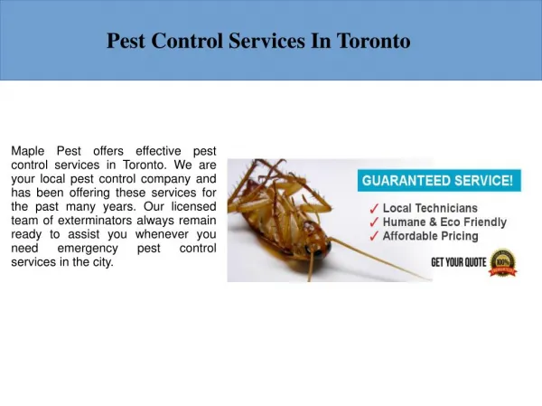 Pest Control Toronto