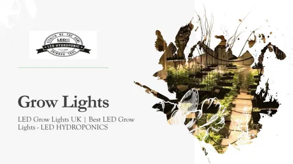 Buy Reasonable Priced Grow Lights at Ledhydroponics