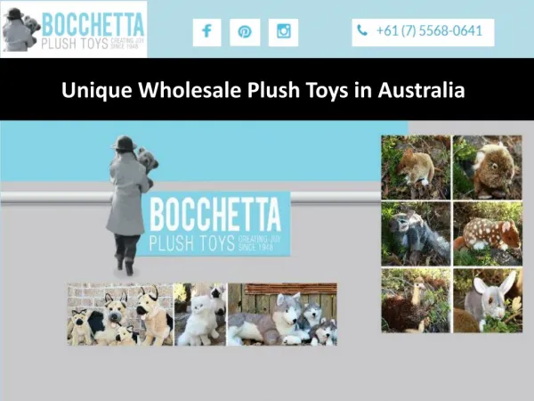 Unique Wholesale Plush Toys in Australia