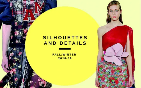 Silhouttes and Details Fall/Winter 2018 -19