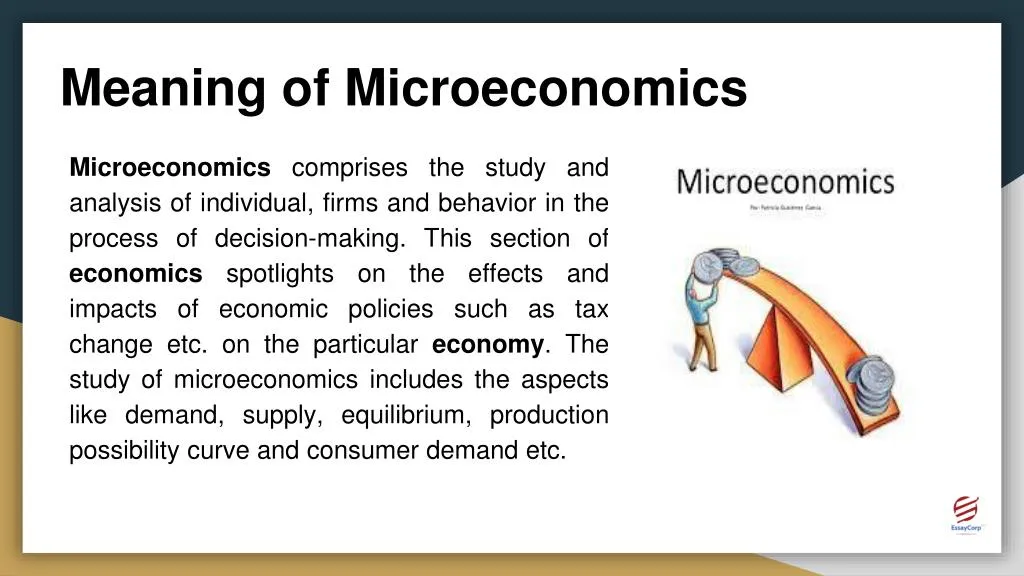 meaning of microeconomics