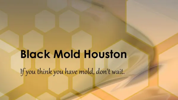 Black Mold Removal Service Houston - Proven Restoration