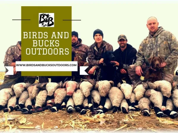 Guided Duck Hunt Colorado