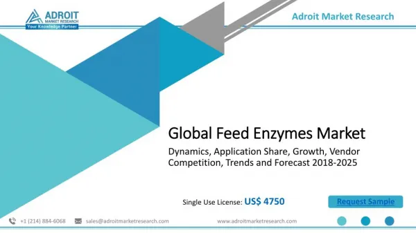 Global Animal Feed Enzymes Market 2018 - Industry Analysis, Size, Share, Growth, Trends and Forecast 2025