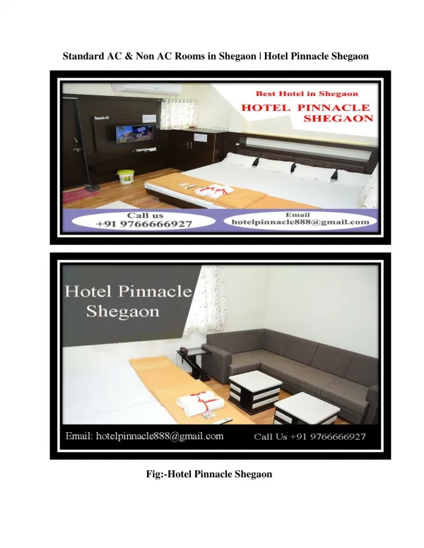 Standard AC & Non AC Rooms in shegaon | Hotel Pinnacle Shegaon