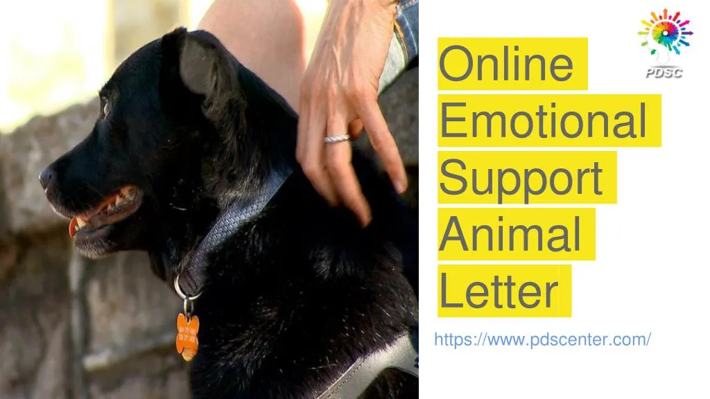 online emotional support animal letter