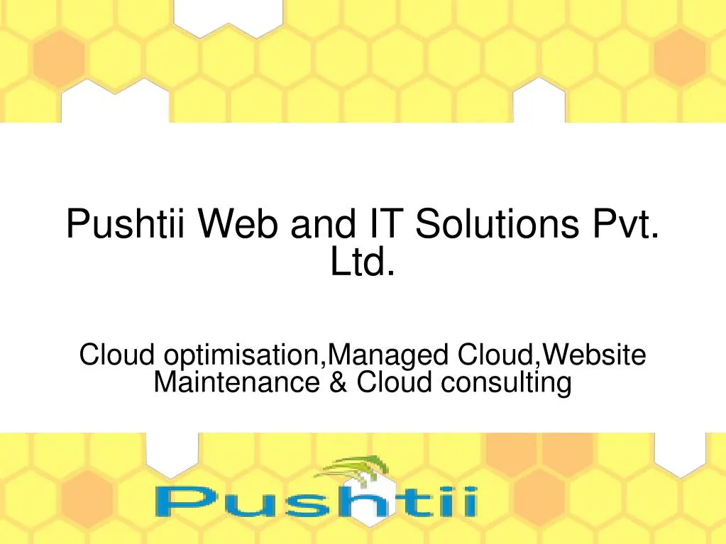 pushtii web and it solutions pvt ltd