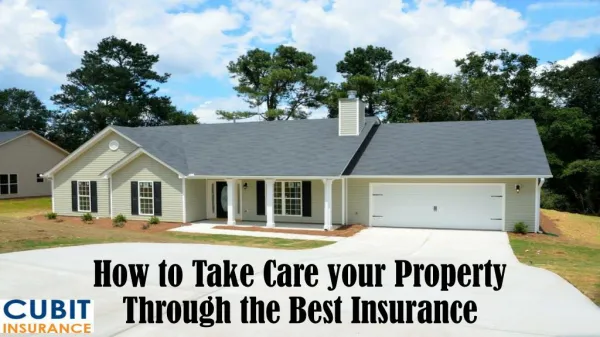 How to Take Care your Property Through the Best Insurance