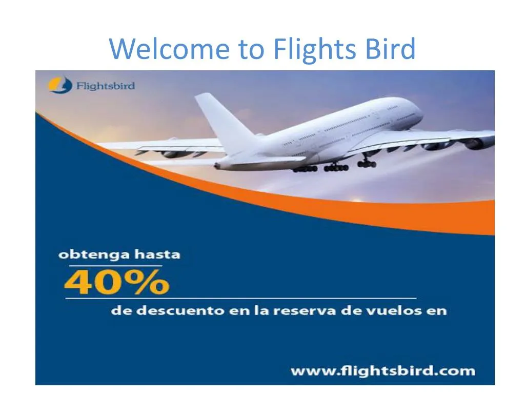 welcome to flights bird