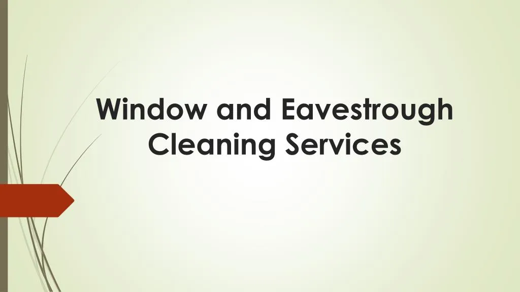 window and eavestrough cleaning services