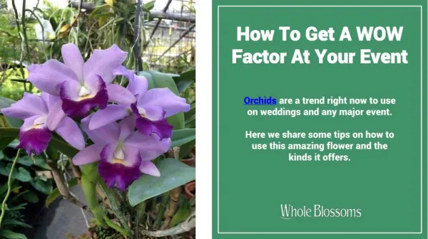 Use Amazing Orchid Flower in Your Decoration