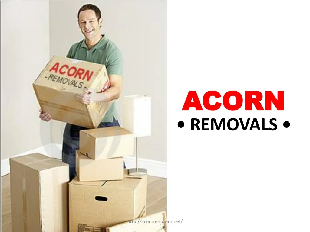 acorn removals