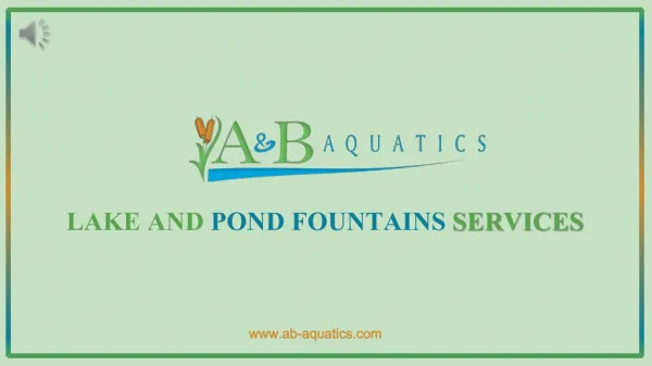 Lake & Pond Fountains Tampa - A & B Aquatics