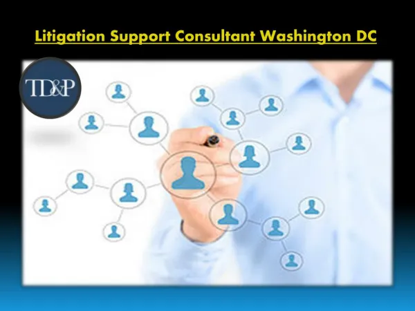 Litigation Support Consultant Washington DC