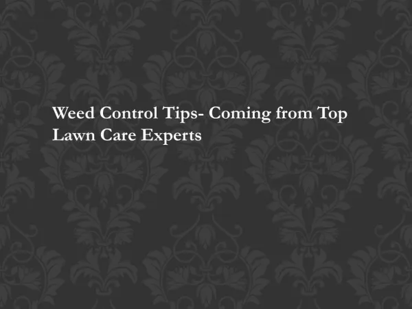 Weed Control Tips- Coming from Top Lawn Care Experts TurfWorks