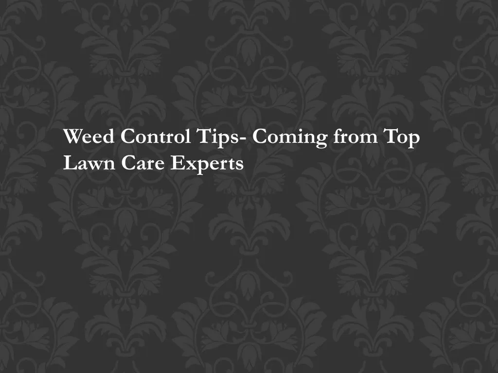 weed control tips coming from top lawn care