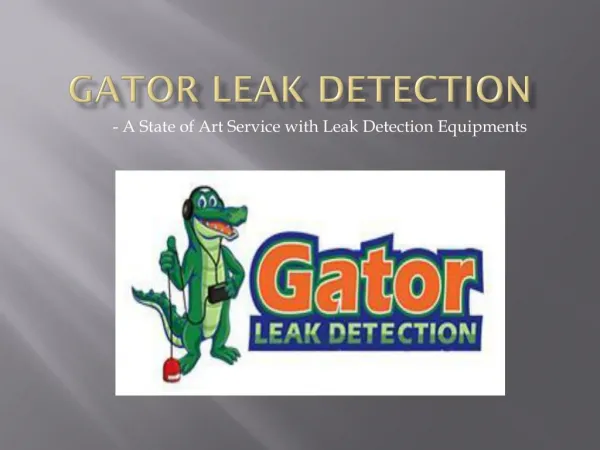Gator Leak Detection- A State of Art Service with Leak Detection Equipments