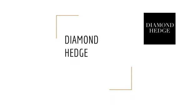 Try Engagement Rings at Diamond Hedge