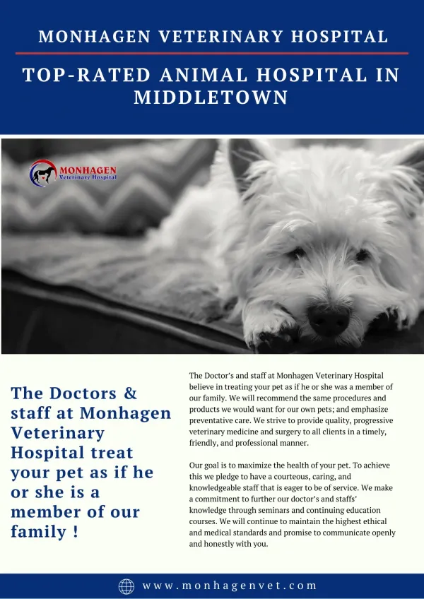 Top-Rated Animal Hospital in Middletown