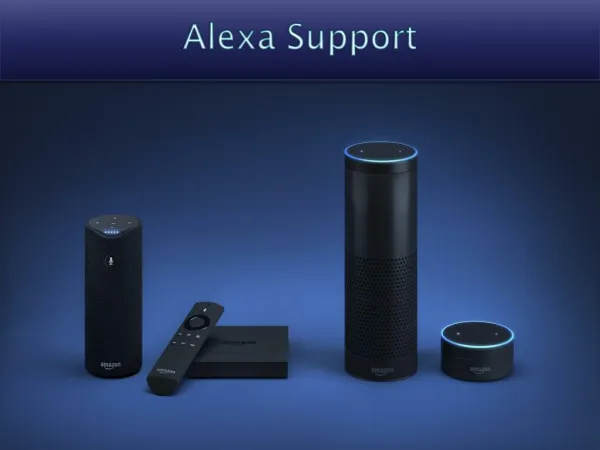 Alexa Echo Setup | Download Alexa App