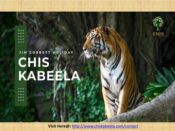 CHIS Kabeela: JIM Corbett luxury place to stay!