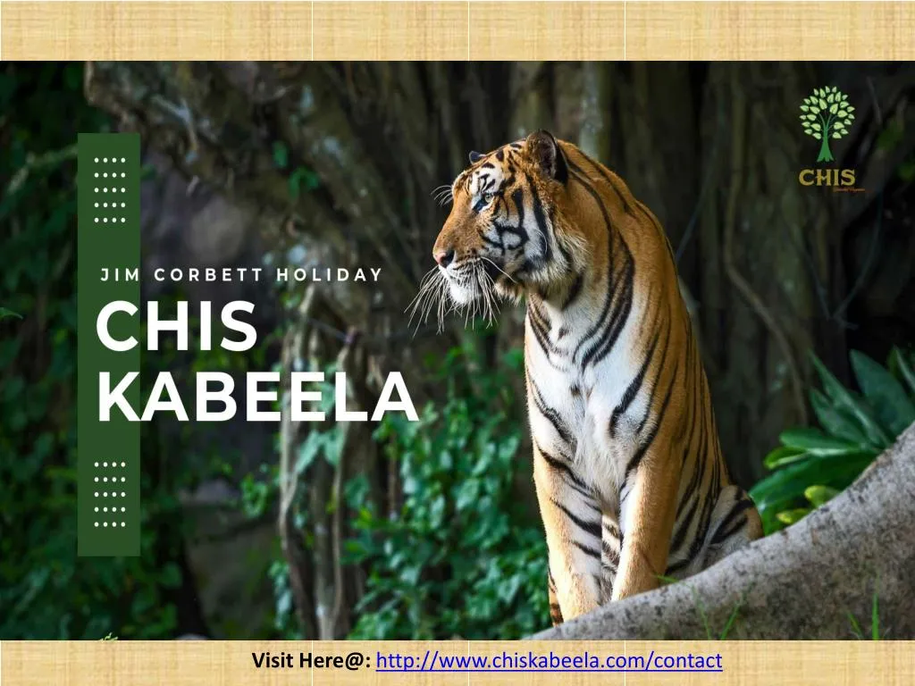 visit here@ http www chiskabeela com contact