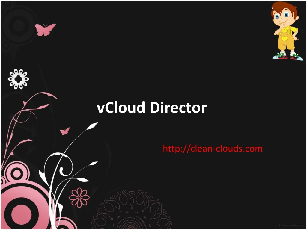 vcloud director