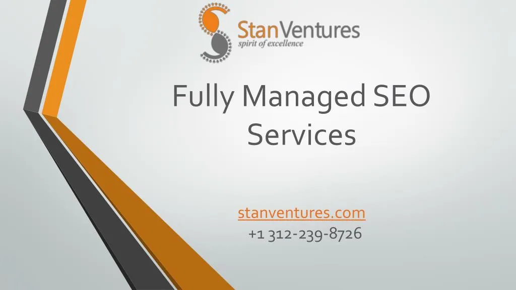 fully managed seo services
