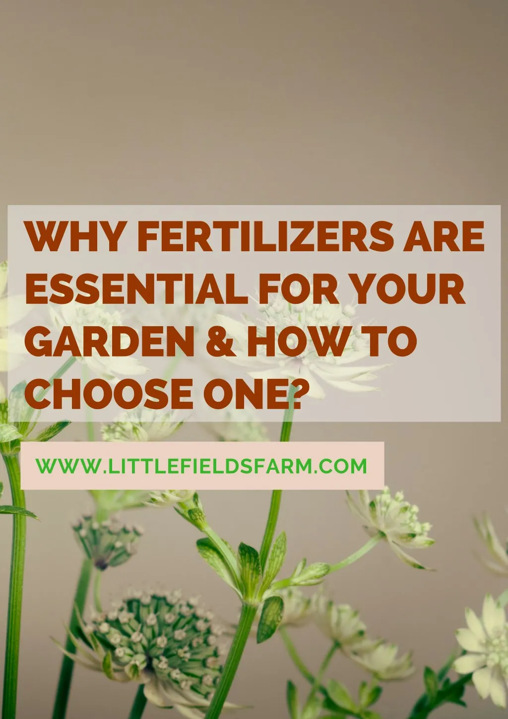 why fertilizers are essential for your garden