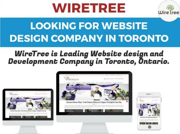 Toornto's Professional Web design & developmemt Company