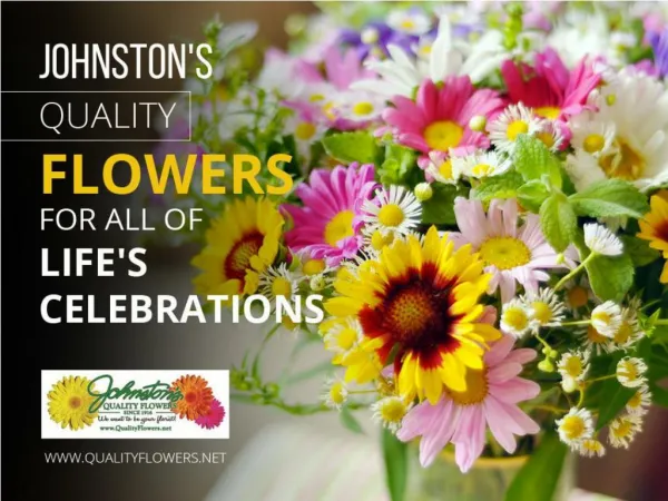Fort Smith Florists | Creative Solutions for Your all Floral Needs
