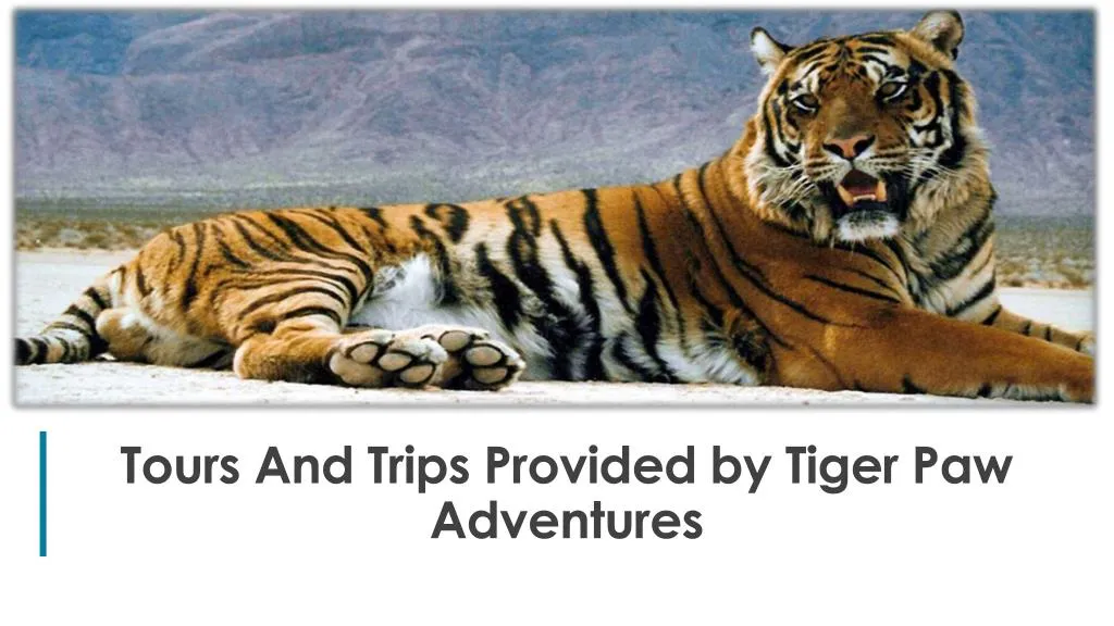tours and trips provided by tiger paw adventures