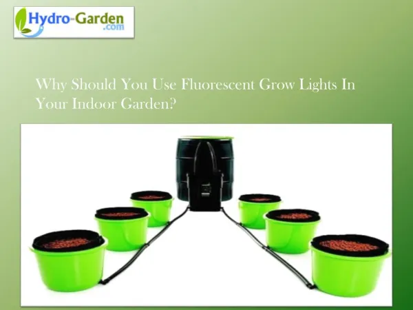 Grow Tent Garden to Purchase for Indoor Plant Growing