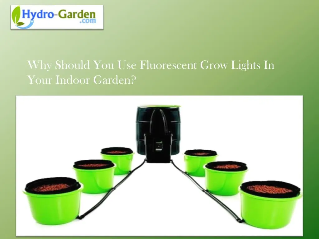 why should you use fluorescent grow lights