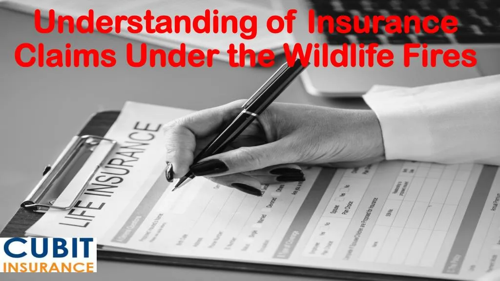 understanding of insurance claims under the wildlife fires